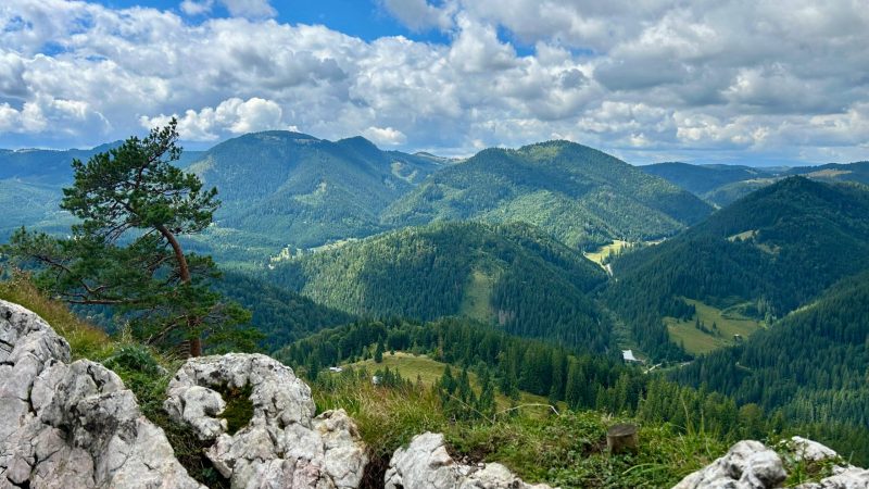Chaîne de montagnes verdoyantes sous un ciel bleu